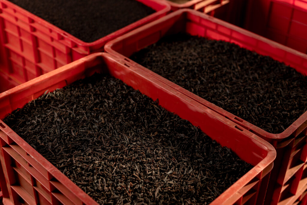 From Leaf to Cup: The Journey of Ceylon Tea